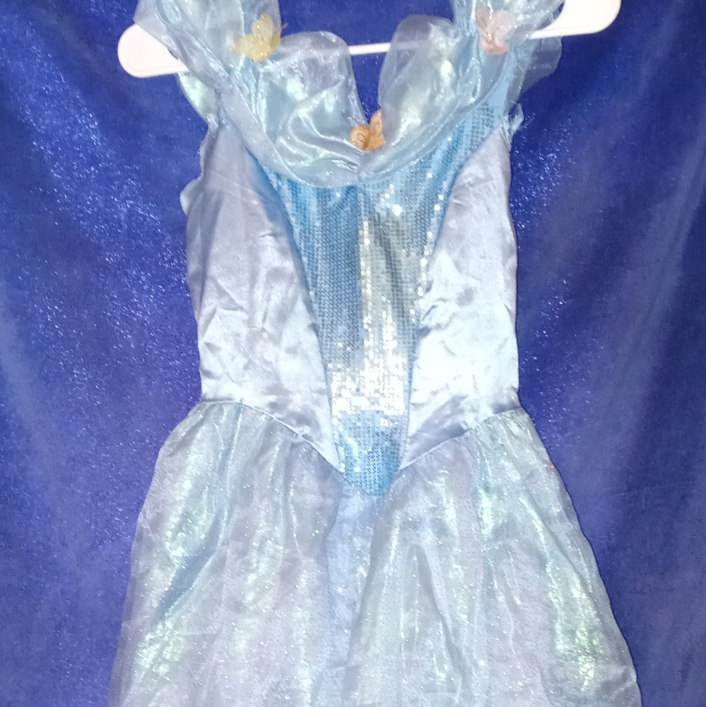 Pricness dress